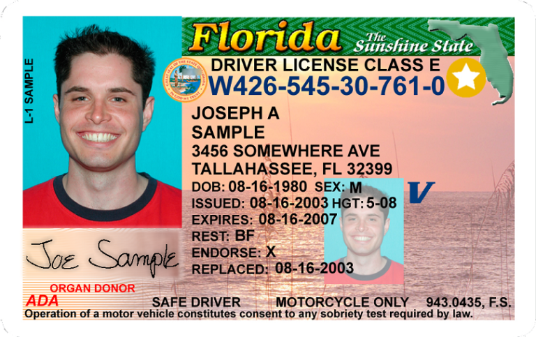 Pasos necesarios para renovar licencia de conducir en Florida
